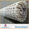 Kunststoff Polypropylen PP HDPE Polyester Fiberglas Biaxial Uniaxial Geogrid